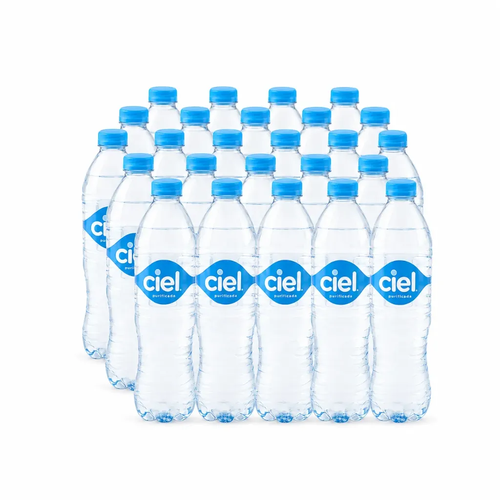 [PQ00560] Agua natural Ciel desechable pet 600ml. Caja c/24 Piezas.
