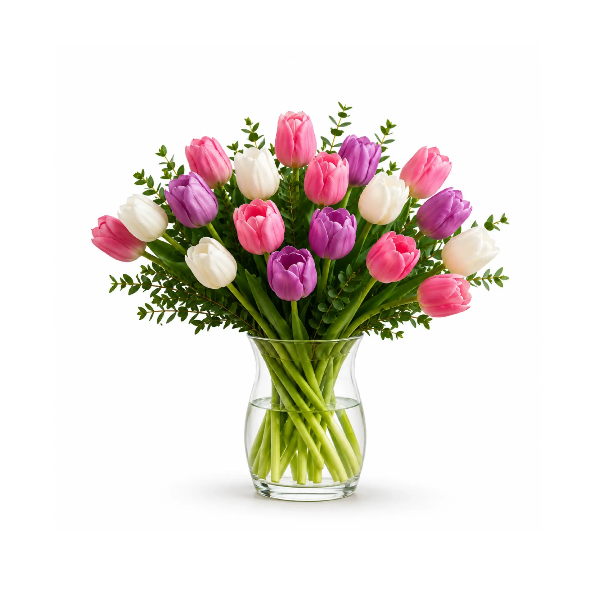 20 Tulipanes (20 de Junio, 10:00 am - 12:00 pm)